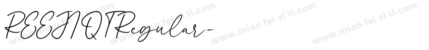 REEJI Q T Regular字体转换